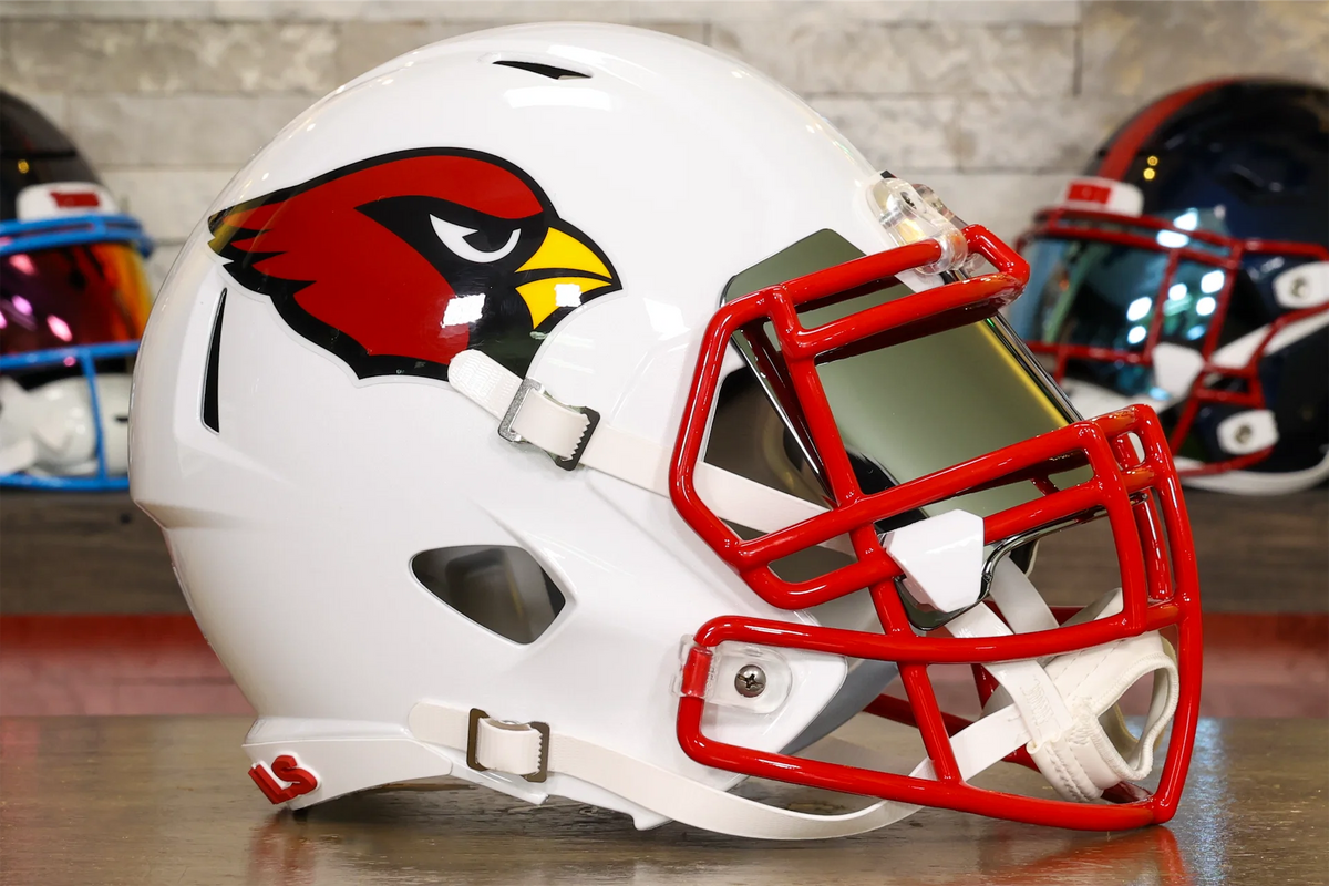 Riddell レインボーバックプレート Arizona Cardinals Riddell Speed Display Helmet - GG Edition