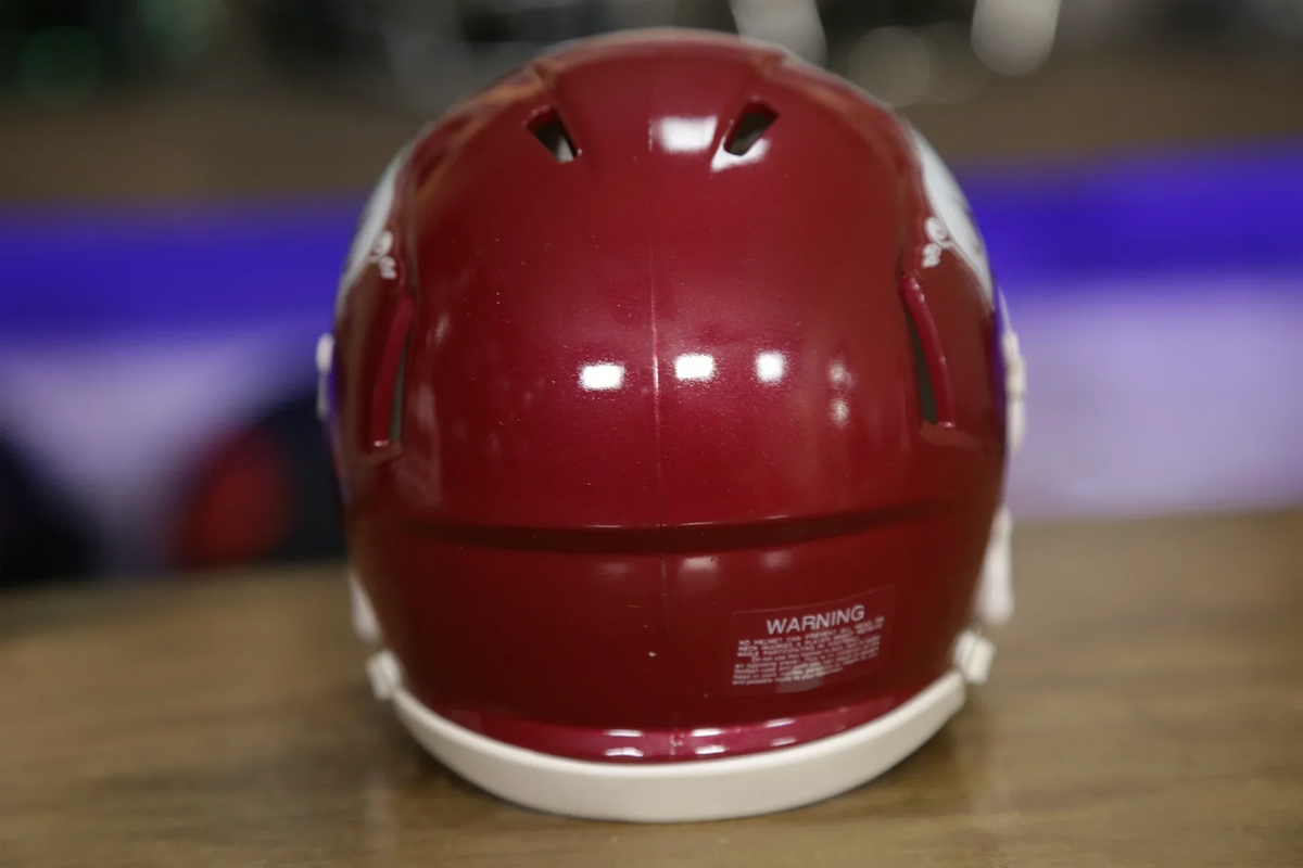 Arkansas Razorbacks Riddell Speed Mini Helmet – Green Gridiron, Inc