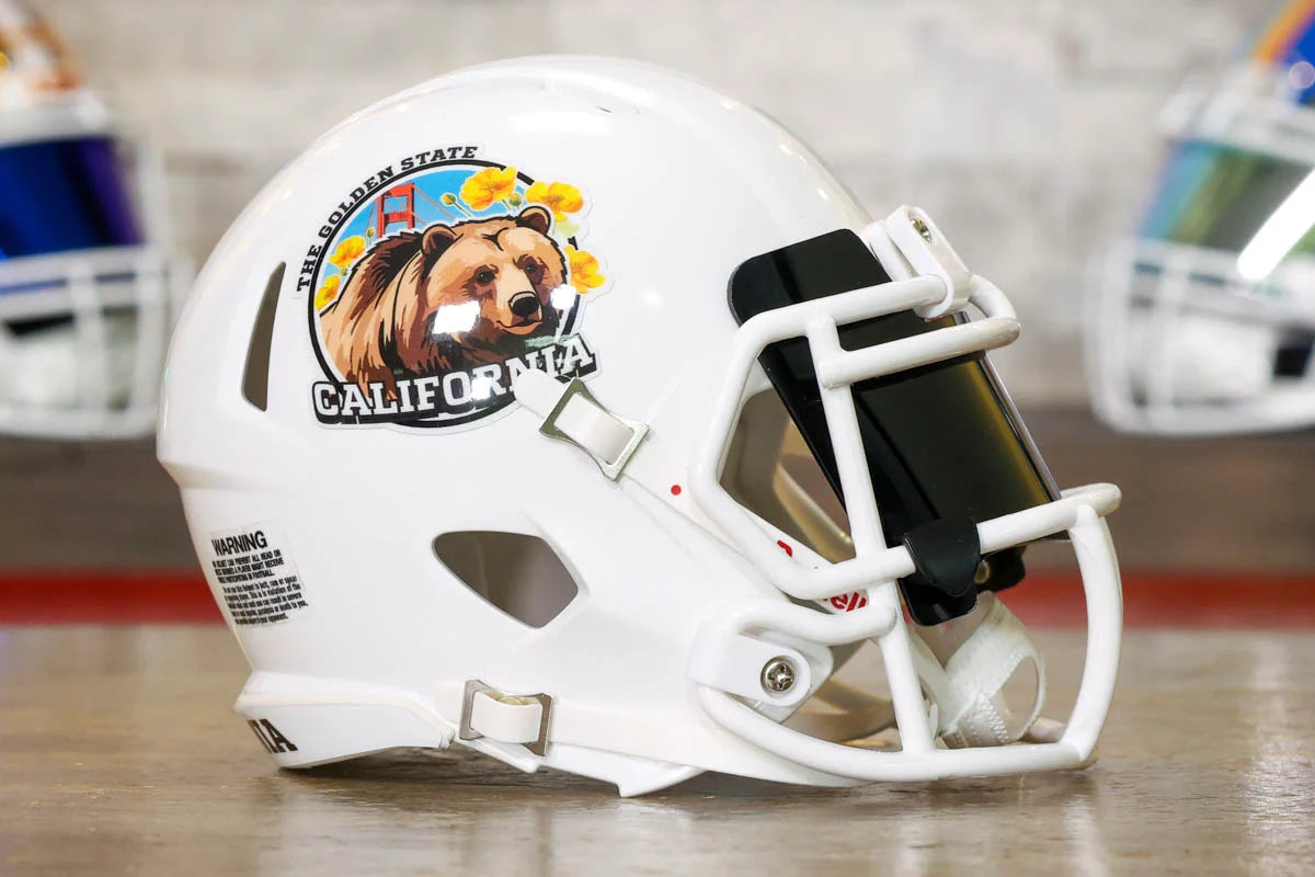 State Mini Helmet