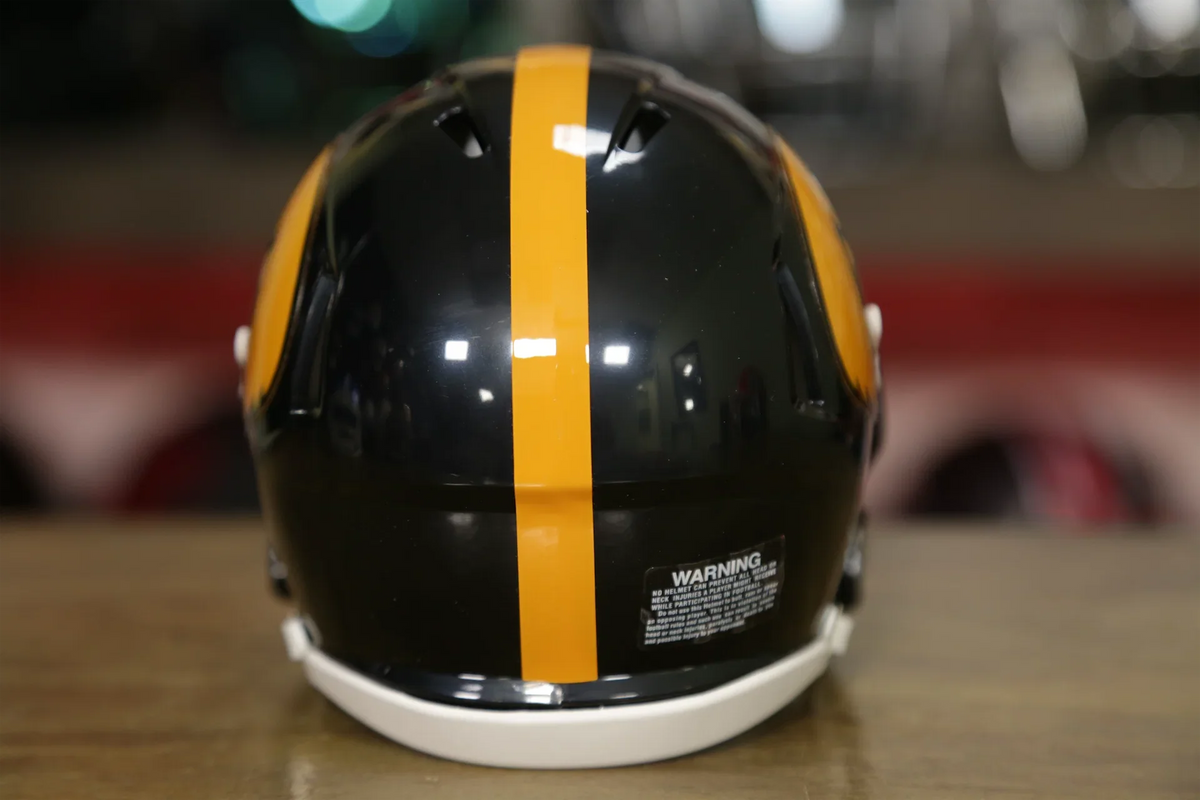 Iowa Hawkeyes Riddell Speed Mini Helmet – Green Gridiron, Inc