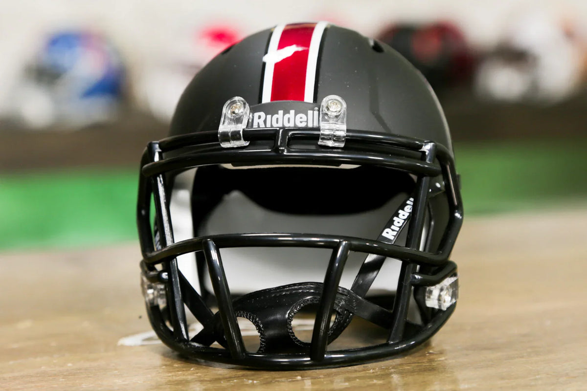 サウスカロライナ ゲームコックス リデル スピード ミニ ヘルメット