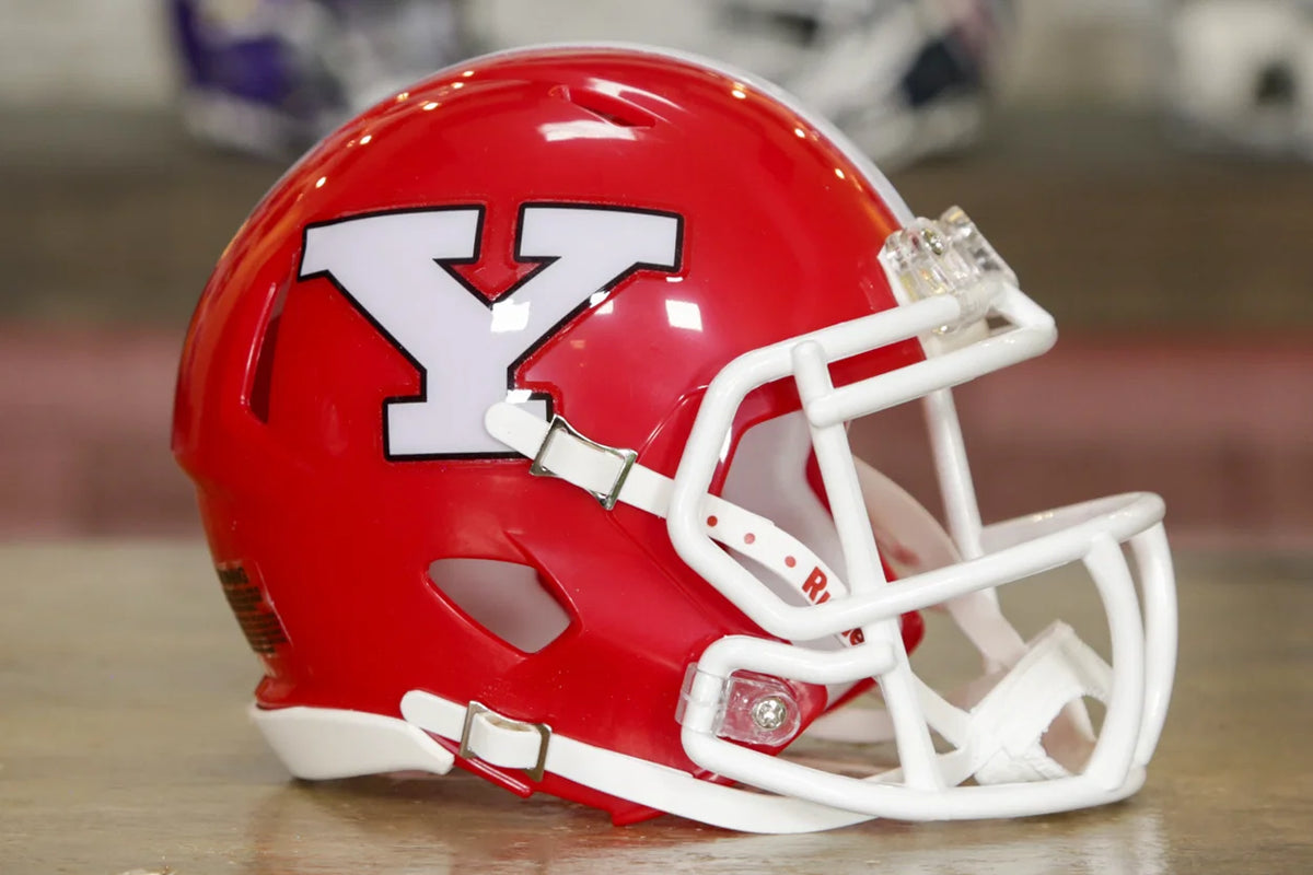 club penguin football helmet Youngstown State Penguins Riddell Speed Mini Helmet