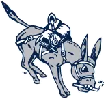 NCAA - Colorado School of Mines Orediggers