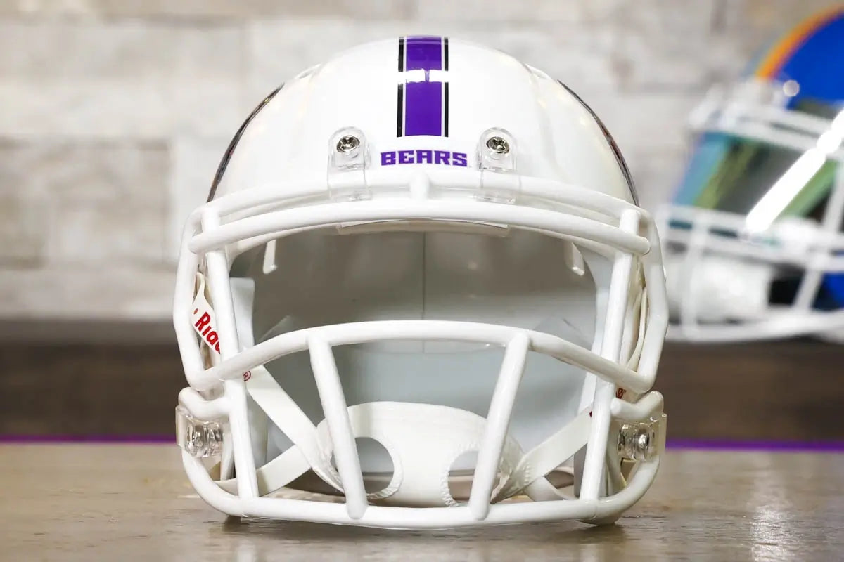 Central Arkansas Bears Speed Mini Helmet – Green Gridiron, Inc