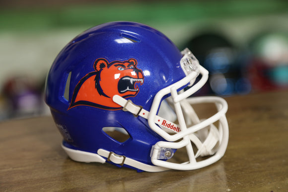 Coast Guard Bears Riddell Speed Mini Helmet – Green Gridiron, Inc