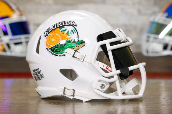 State Mini Helmet - Florida