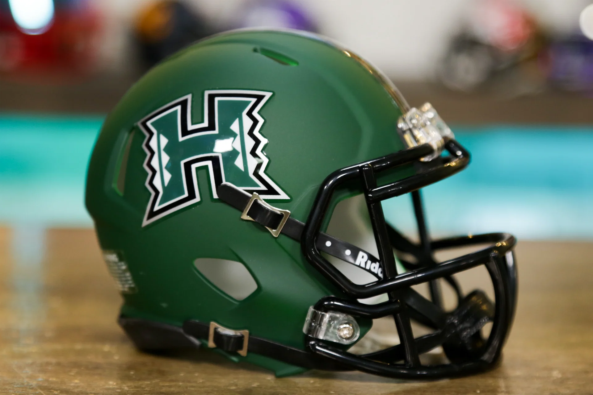 Hawaii Rainbow Warriors Matte Green Riddell NCAA Speed Mini Helmet Hawaii Rainbow Warriors Matte Green Riddell NCAA Speed Mini Helmet