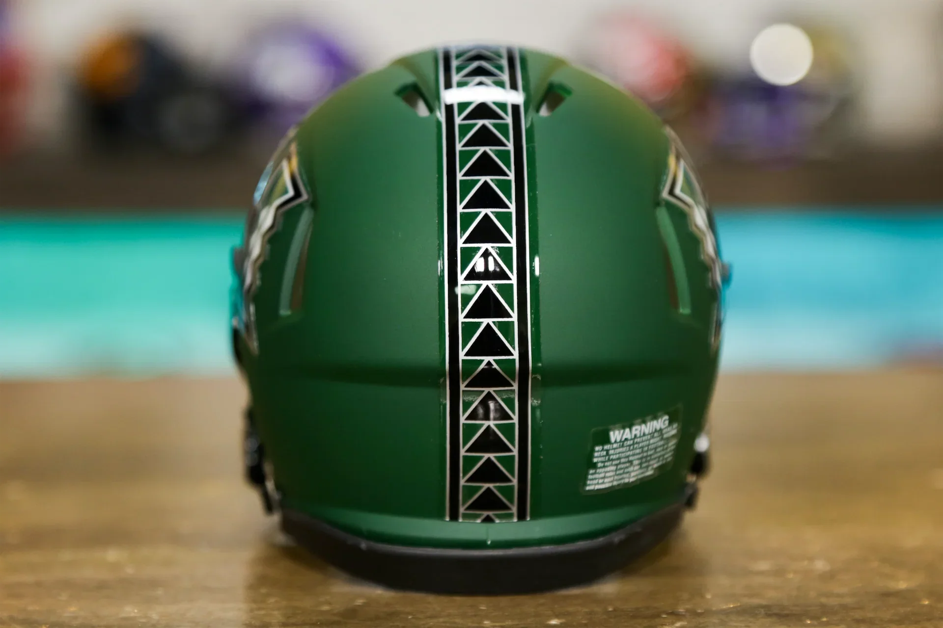 Hawaii Rainbow Warriors Matte Green Riddell NCAA Speed Mini Helmet