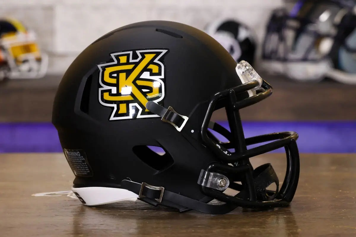 affordable football helmets Kennesaw State Owls Riddell NCAA Speed Mini Helmet