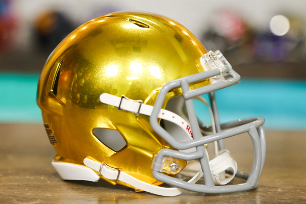 Notre Dame Fighting Irish Riddell Speed Mini Helmet
