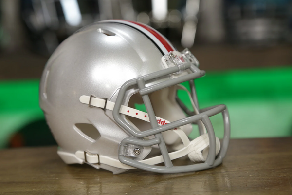 Ohio State Buckeyes Riddell Speed Mini Helmet – Green Gridiron, Inc.