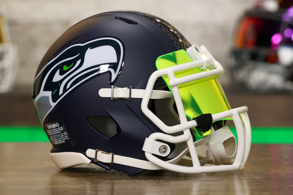 マイアミ ドルフィンズ リデル スピード ミニ ヘルメット - GG