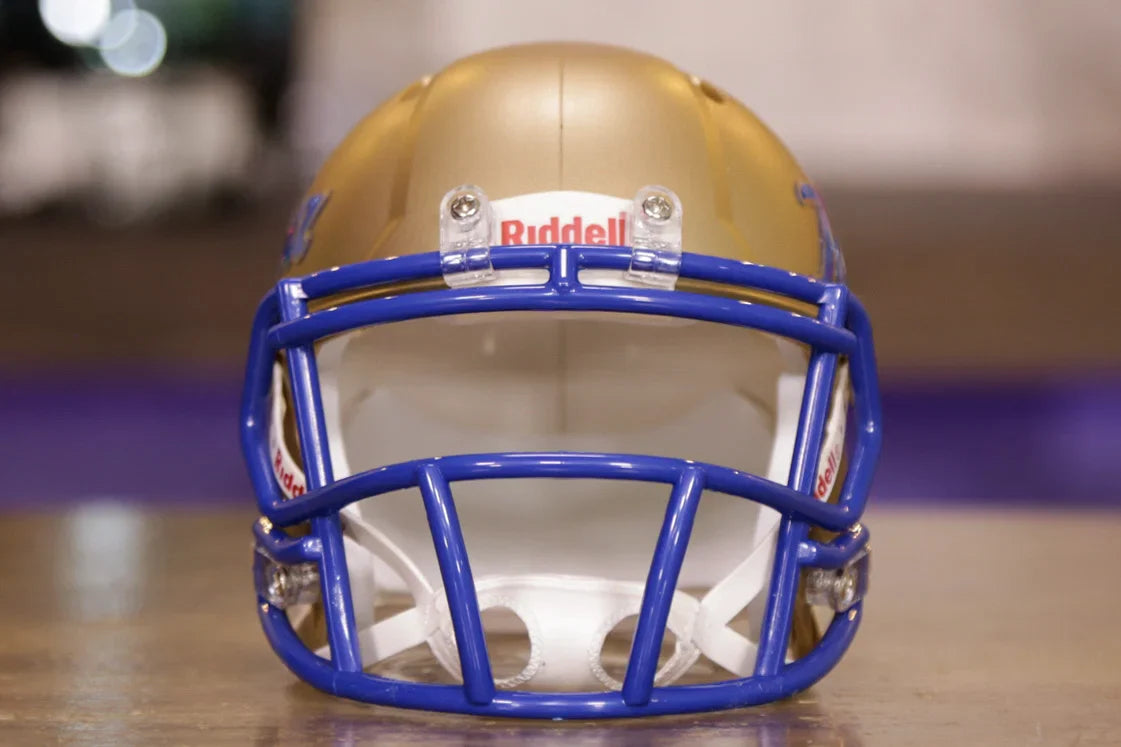 タルサ ゴールデン ハリケーン リデル スピード ミニ ヘルメット タルサ ゴールデン ハリケーン リデル スピード ミニ ヘルメット