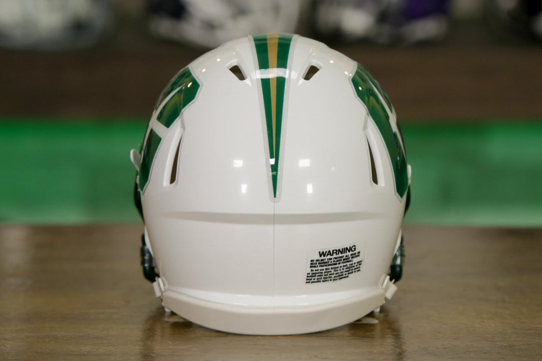 charlotte 49er football helmet North Carolina Charlotte 49ers Riddell Speed Mini Helmet