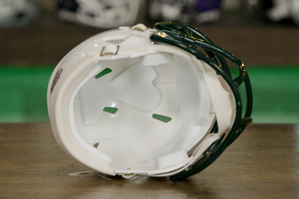 North Carolina Charlotte 49ers Riddell Speed Mini Helmet – Green Gridiron, Inc