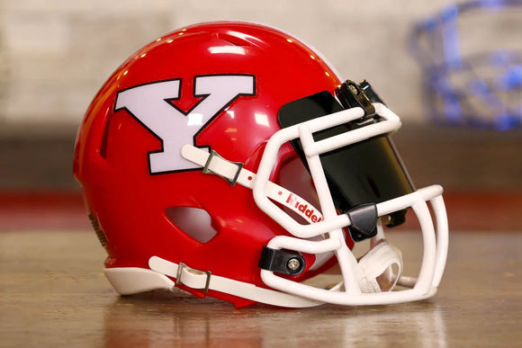 Youngstown State Penguins Riddell Speed Mini Helmet - GG Edition