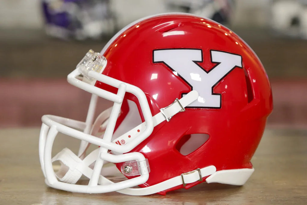 Youngstown State Penguins Mini Speed