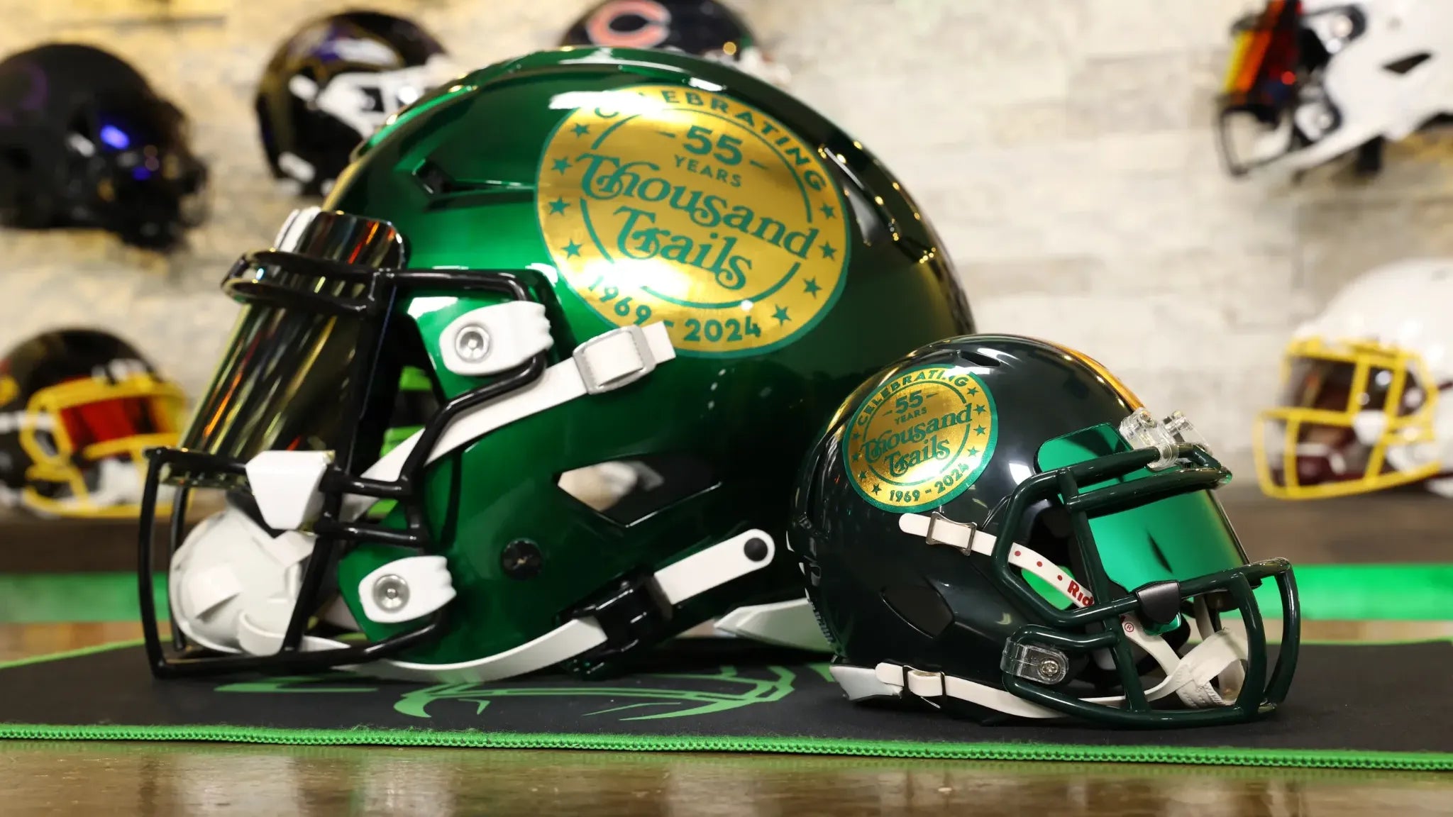 Custom Football Helmets Green Gridiron Inc Custom football helmets green gridiron inc